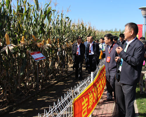 吉農(nóng)高新公司參加第十一屆全國系列報(bào)道四